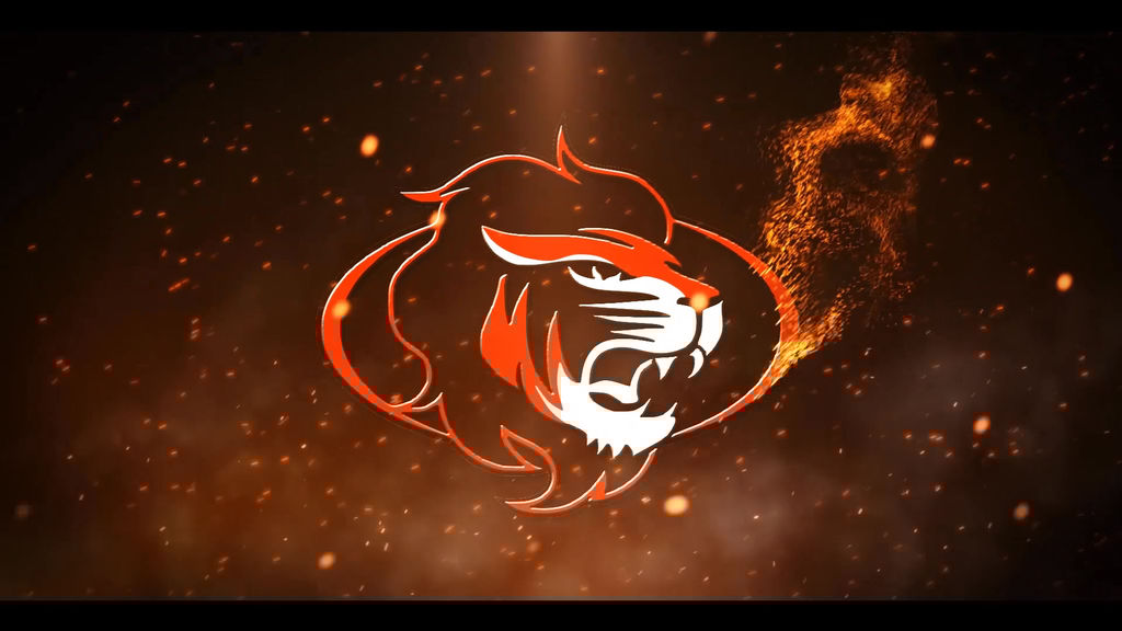 Particle Fire Logo Reveal After Effects Templates 11097997