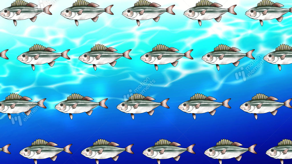 Fish Back File MotionElements