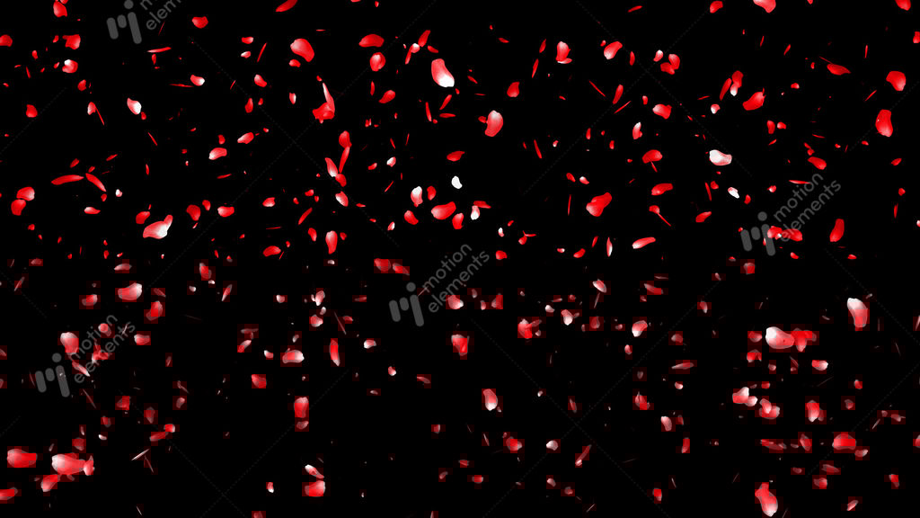 falling sakura petals cherry blossoms 5 red alpha gif falling cherry blossoms gif