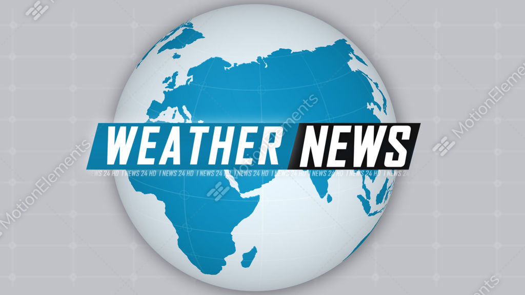 News Report Gif