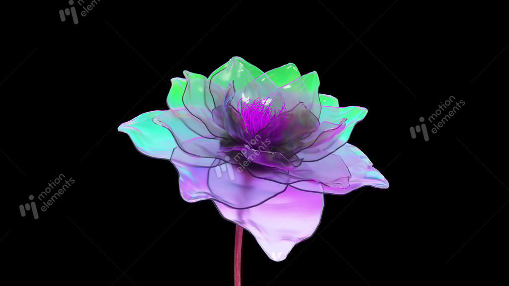 Textura de flores con Neon by mercedesimp on DeviantArt