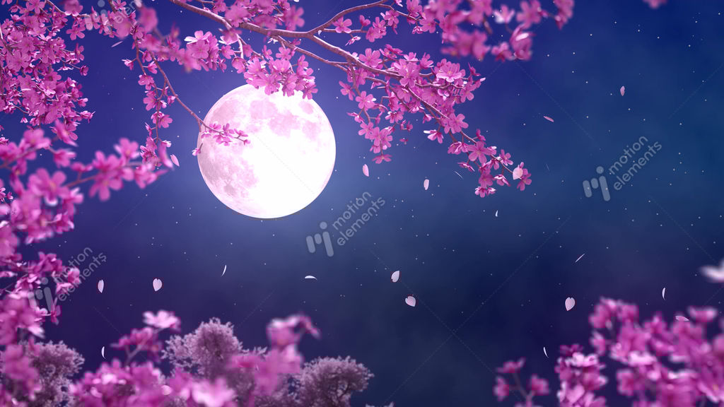 Stock animation